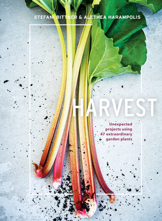 Harvest: Unexpected Projects Using 47 Extraordinary Garden Plants Book Cover