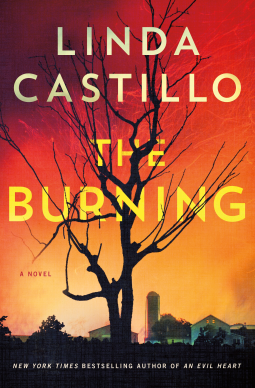 The Burning Book Cover